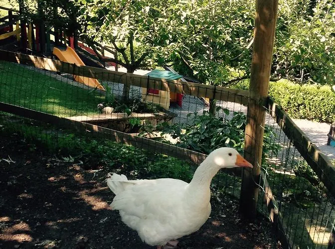 Séjour à la ferme Barcola Grandola ed Uniti