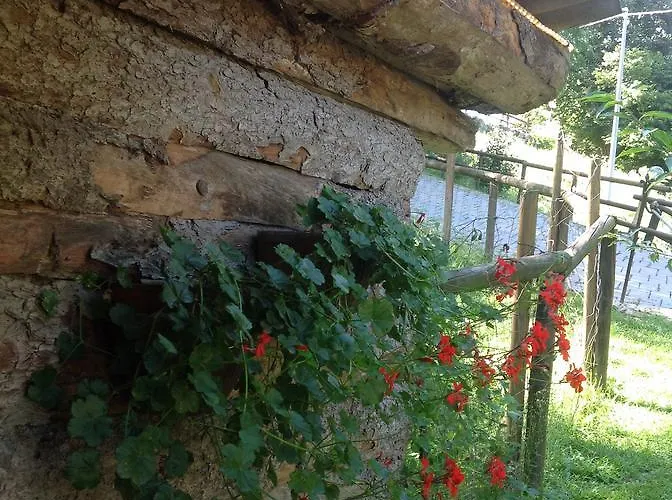 Barcola * Grandola ed Uniti