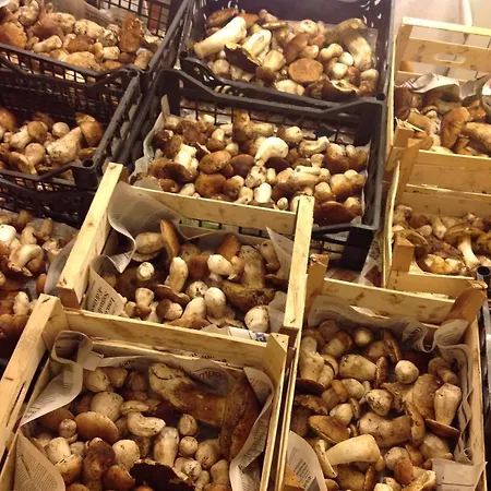 Κατάλυμα σε φάρμα Barcola *