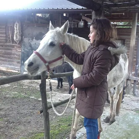 Barcola Farm stay Grandola ed Uniti