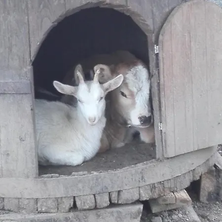 Barcola * Грандола-ед-Унити