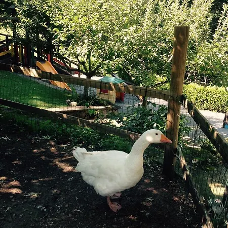 Κατάλυμα σε φάρμα Barcola Grandola ed Uniti