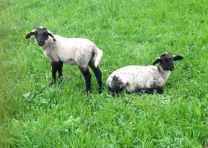 Barcola Grandola ed Uniti