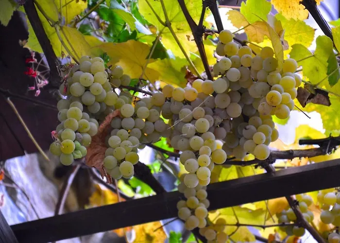 Фермерский дом Barcola Грандола-ед-Унити