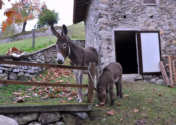 Barcola * Грандола-ед-Унити