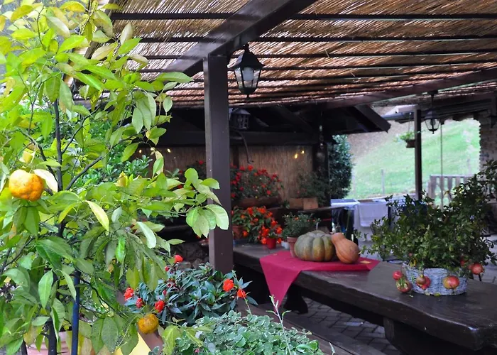 Фермерский дом Barcola