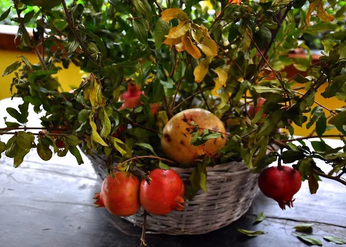 Фермерский дом Barcola *