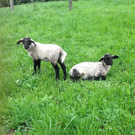 Barcola Grandola ed Uniti