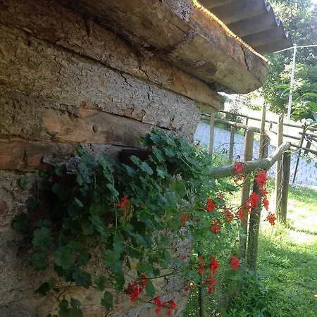 Barcola * Grandola ed Uniti