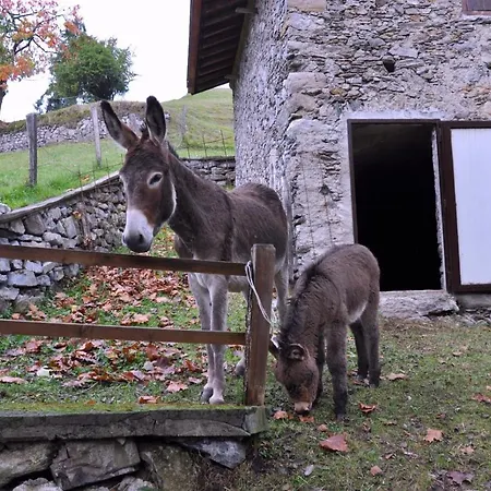 Barcola * Grandola ed Uniti