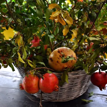 בית חווה Barcola *