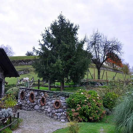 Barcola Grandola ed Uniti